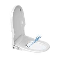 Mechanical Toilet Seat Bidet of D shape